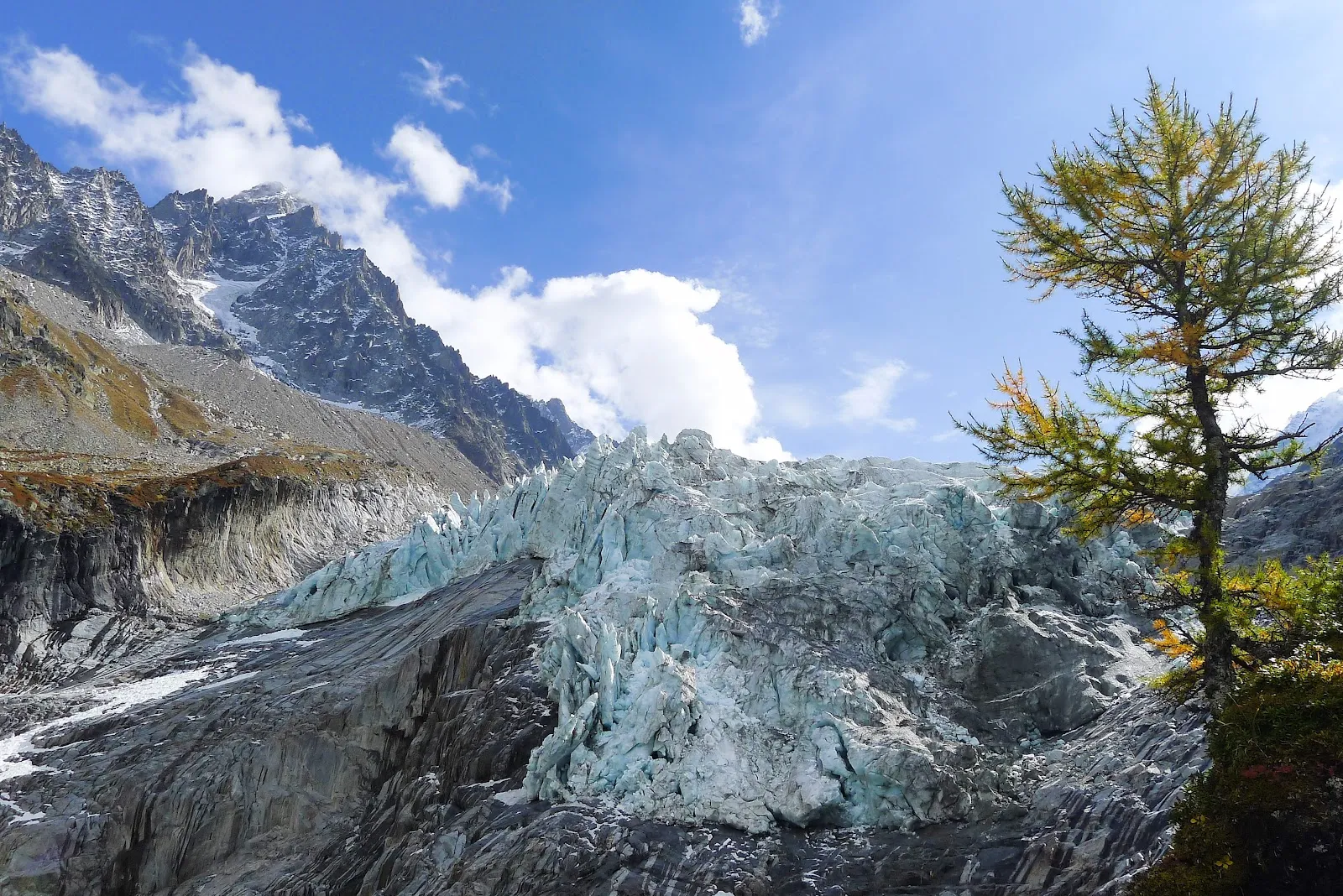 La Langue Du Glacier D'Argentiere — photo 1