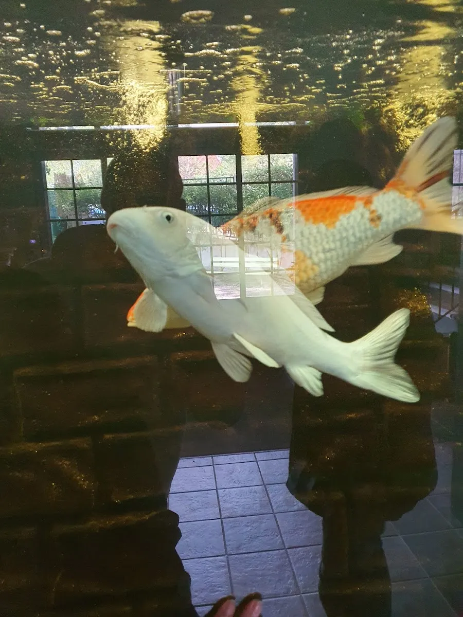 La Maison De la Nature