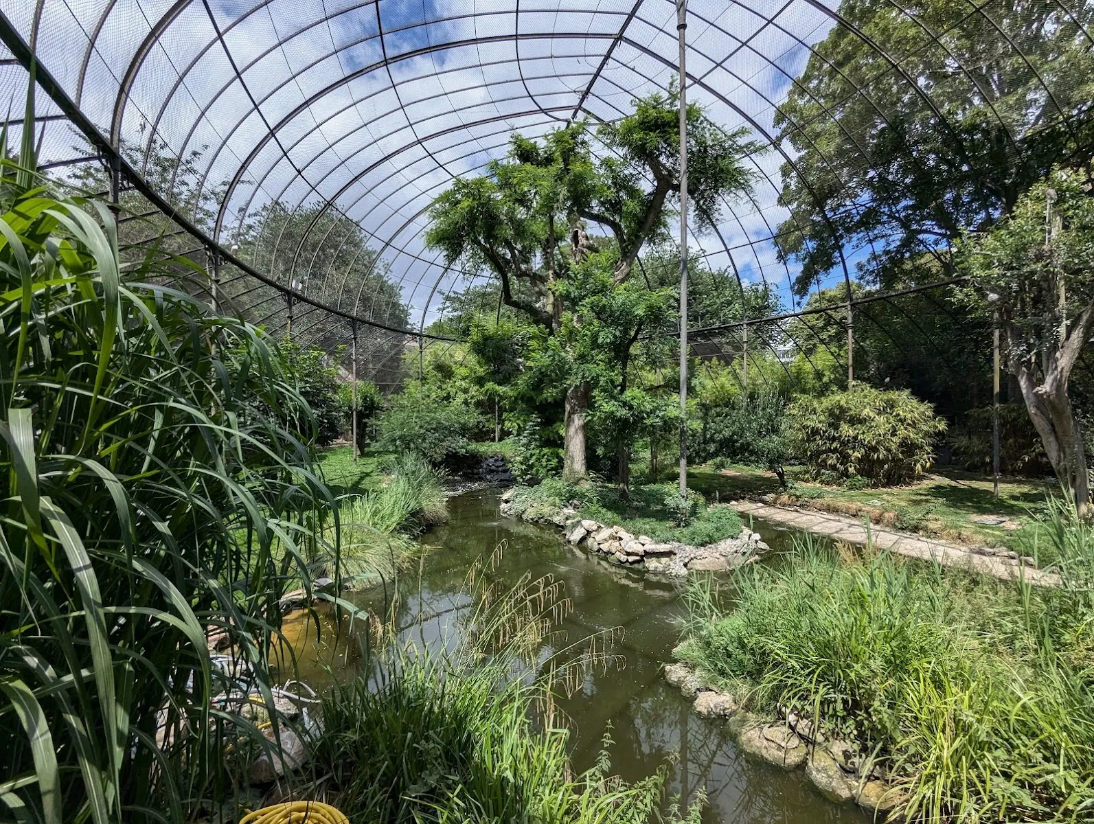 La Ménagerie, le Zoo Du Jardin Des Plantes