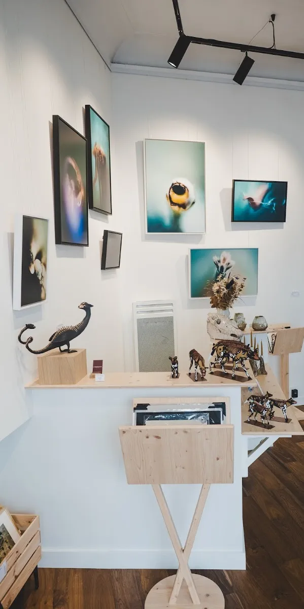 La Monstrueuse Galerie