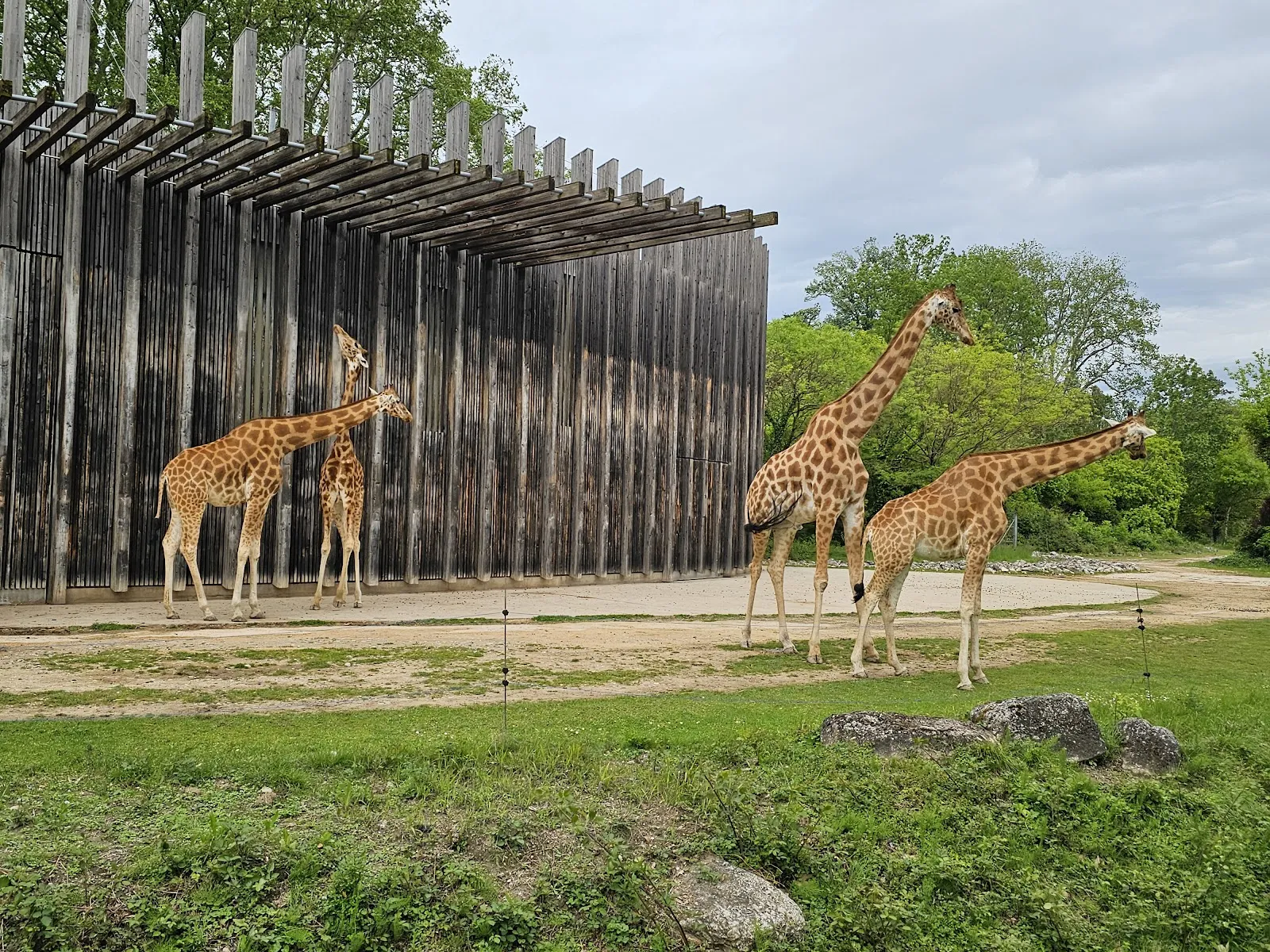 La Plaine Africaine — photo 1