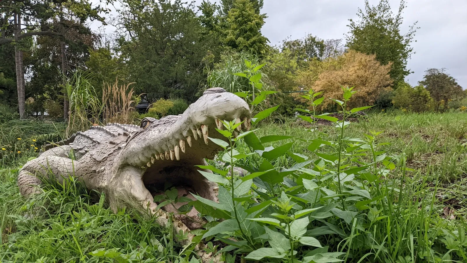 La Rivière Enchantée