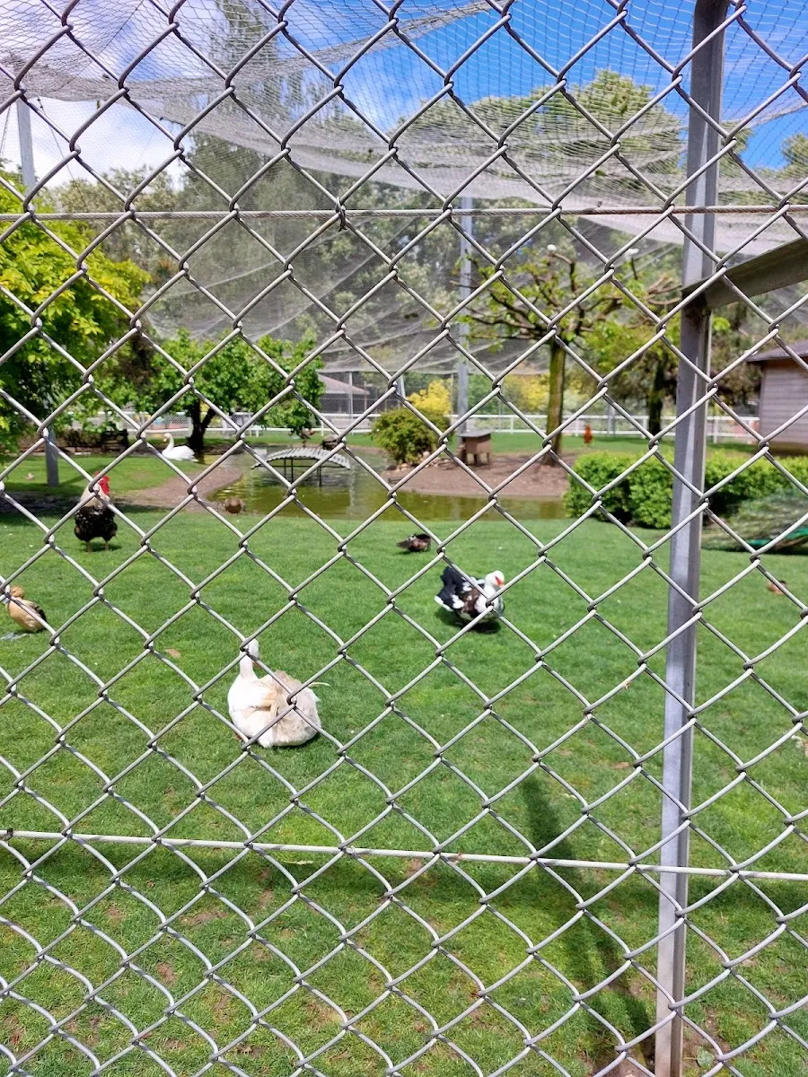 La Volière De L'Impérial