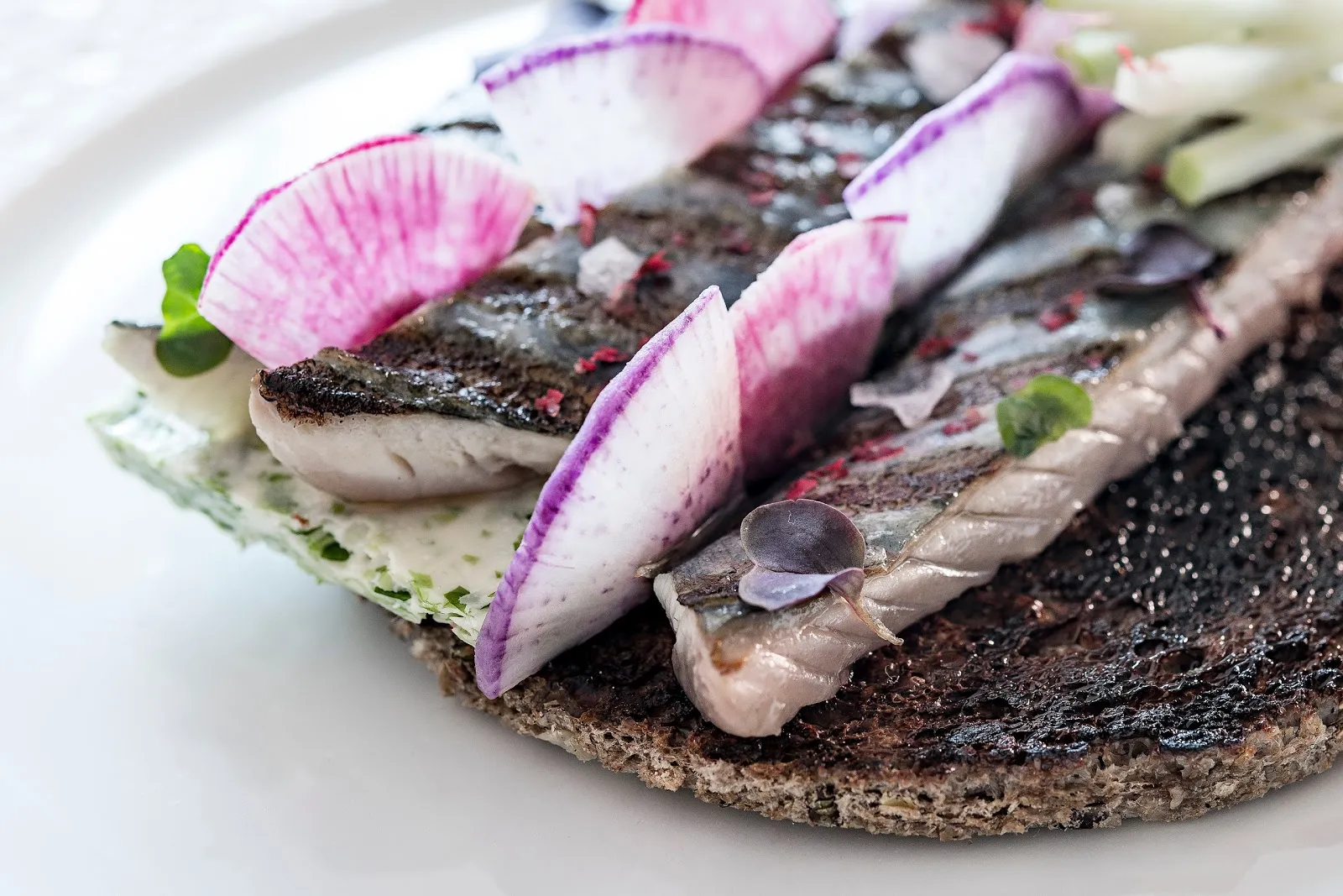 Le Comptoir Des Alpes