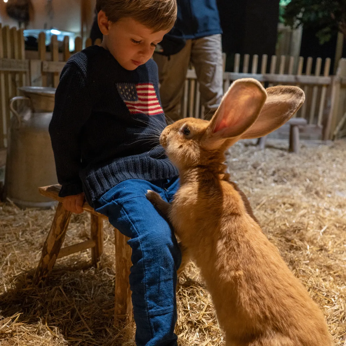 Le Monde De Noé - Centre Dauphine — photo 1