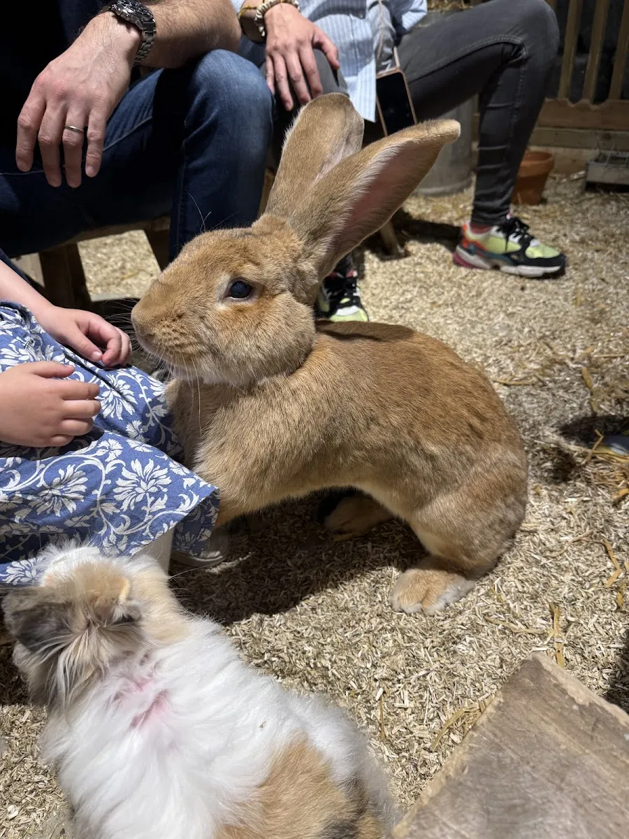 Le Monde De Noé - Centre Dauphine