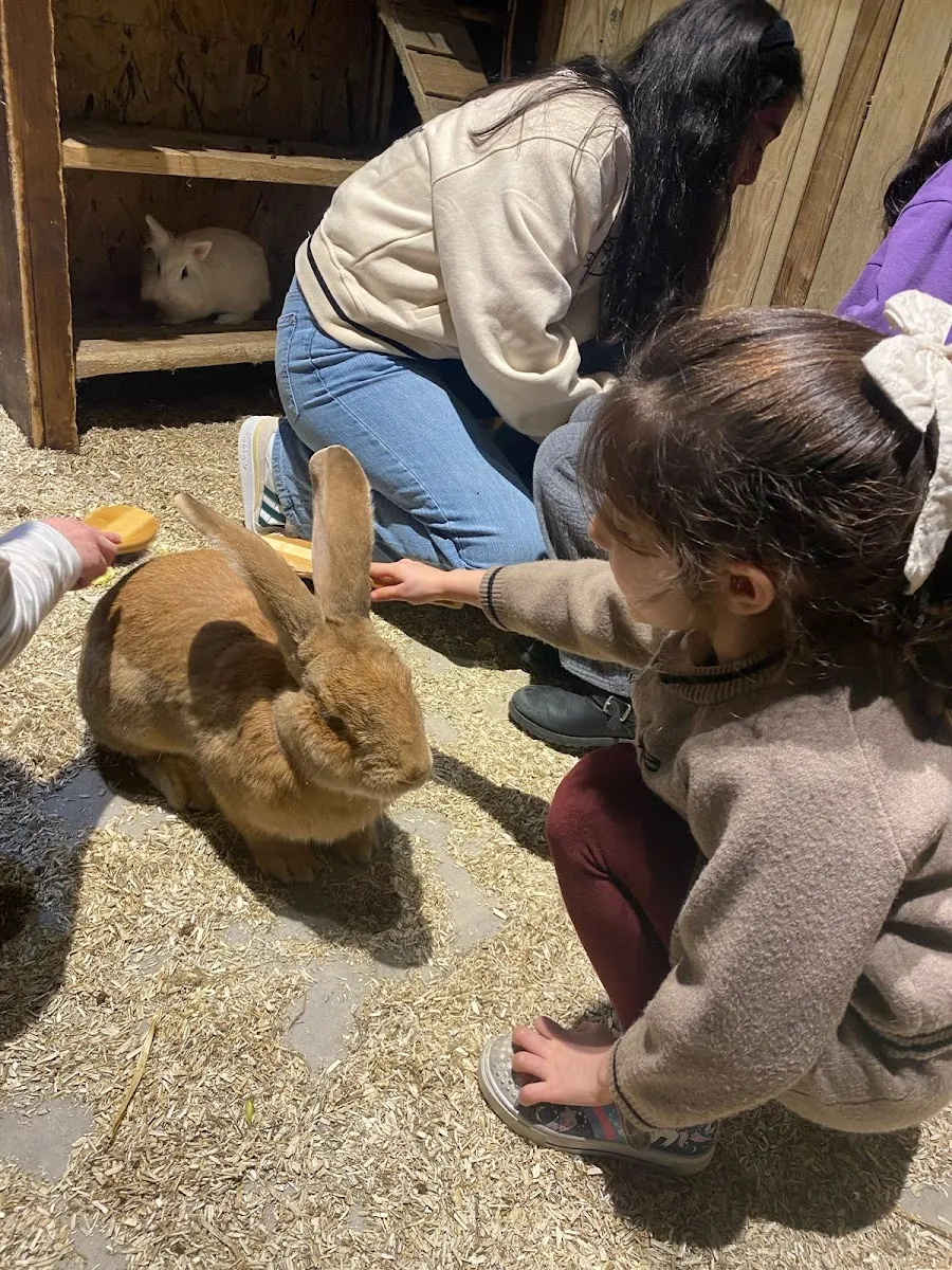 Le Monde De Noé - Centre Dauphine