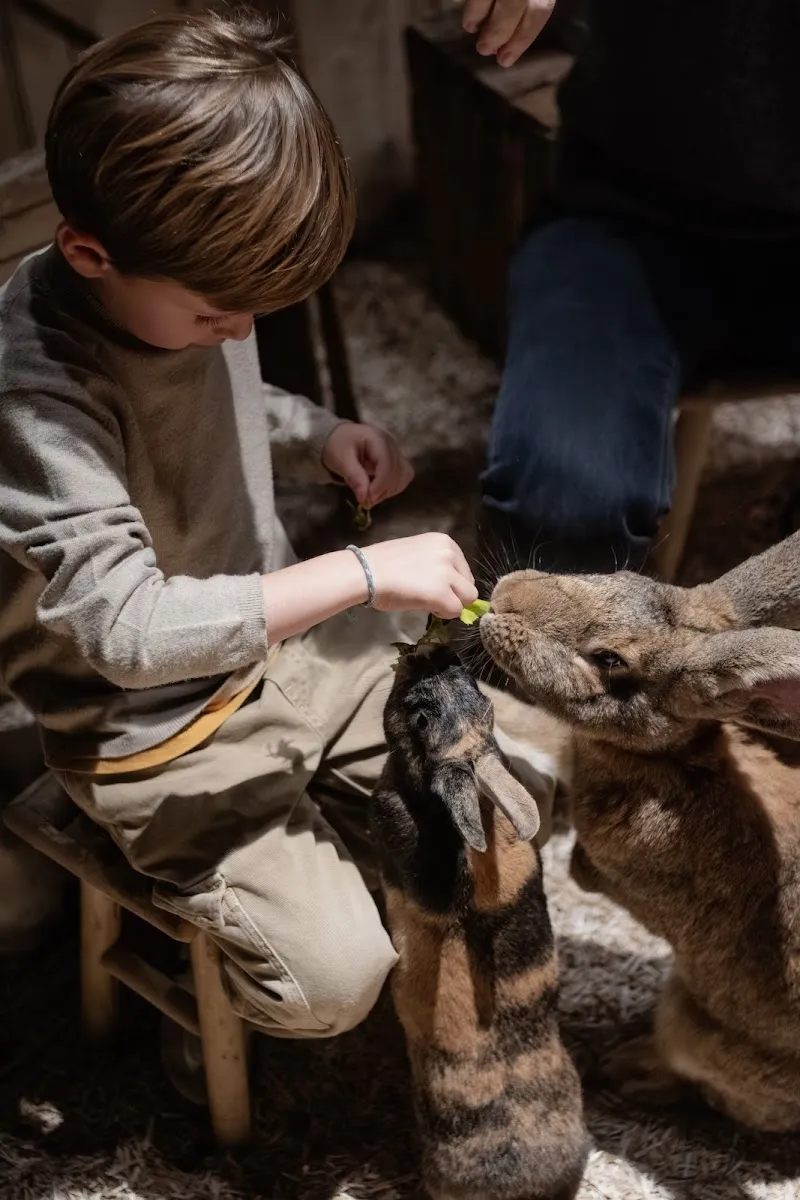 Le Monde De Noé - Centre Lille — photo 1