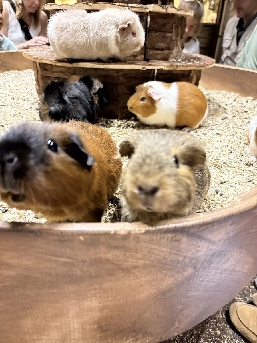 Le Monde De Noé - Centre Montparnasse