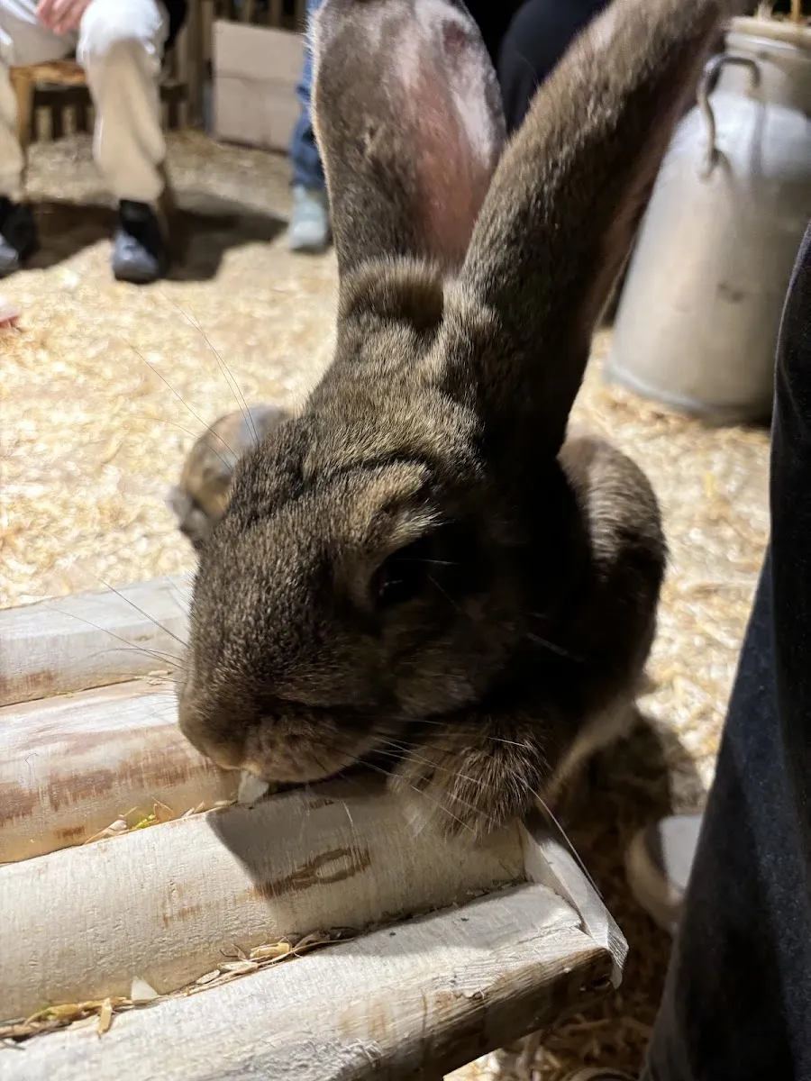 Le Monde De Noé - Centre Montparnasse