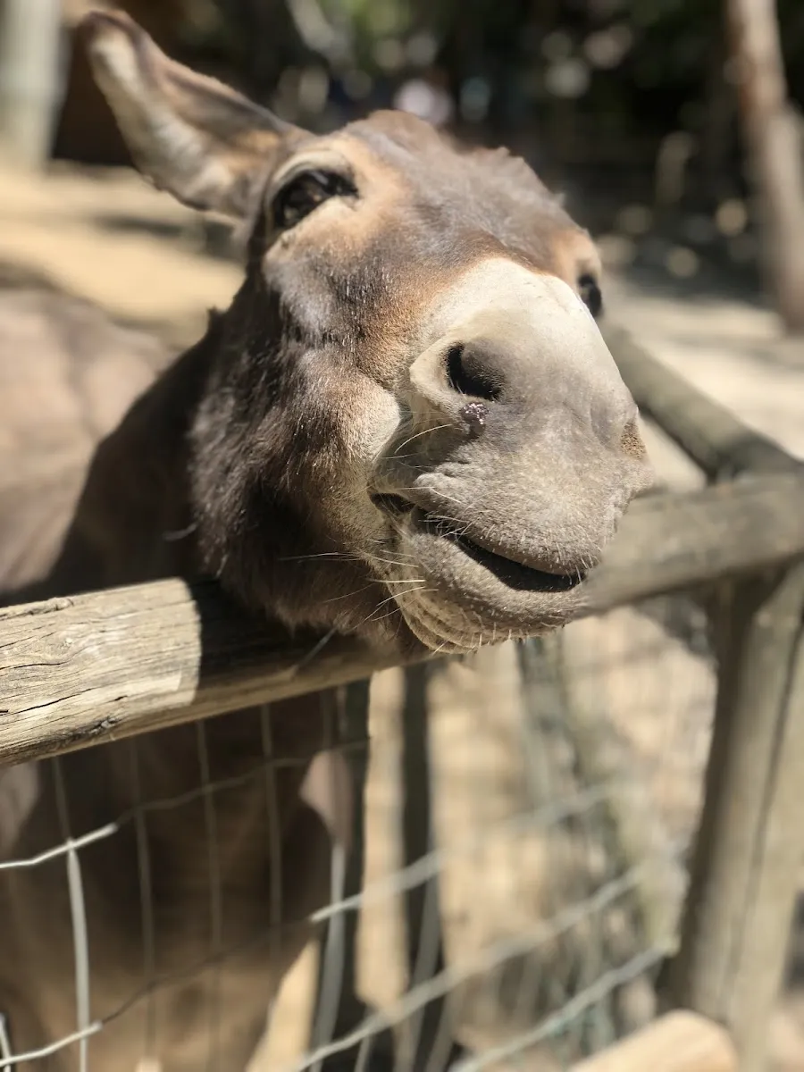 Le Petit Paradis De Vendargues — photo 1