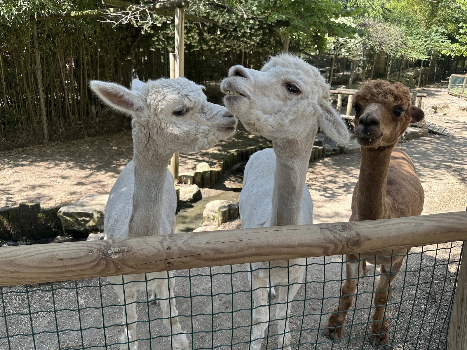 Le Petit Paradis De Vendargues