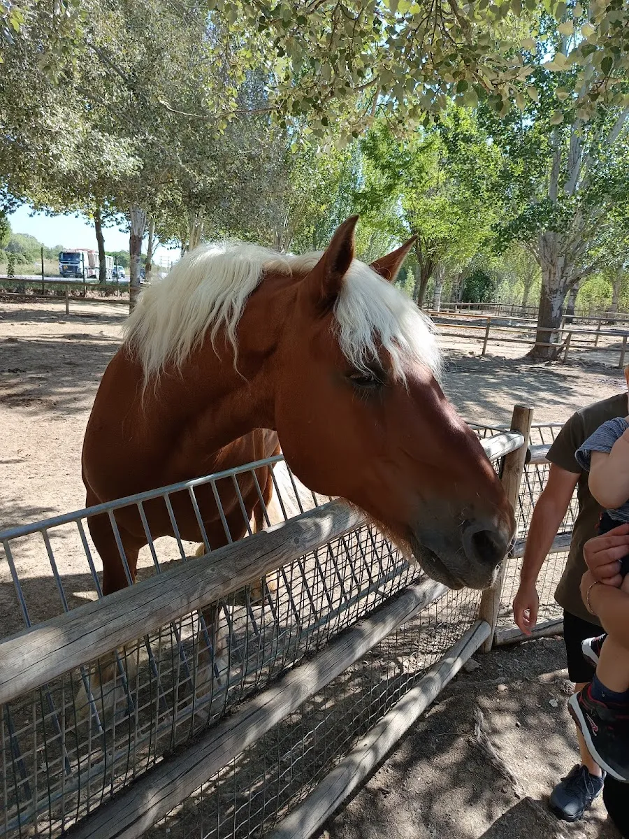 Le Petit Paradis De Vendargues