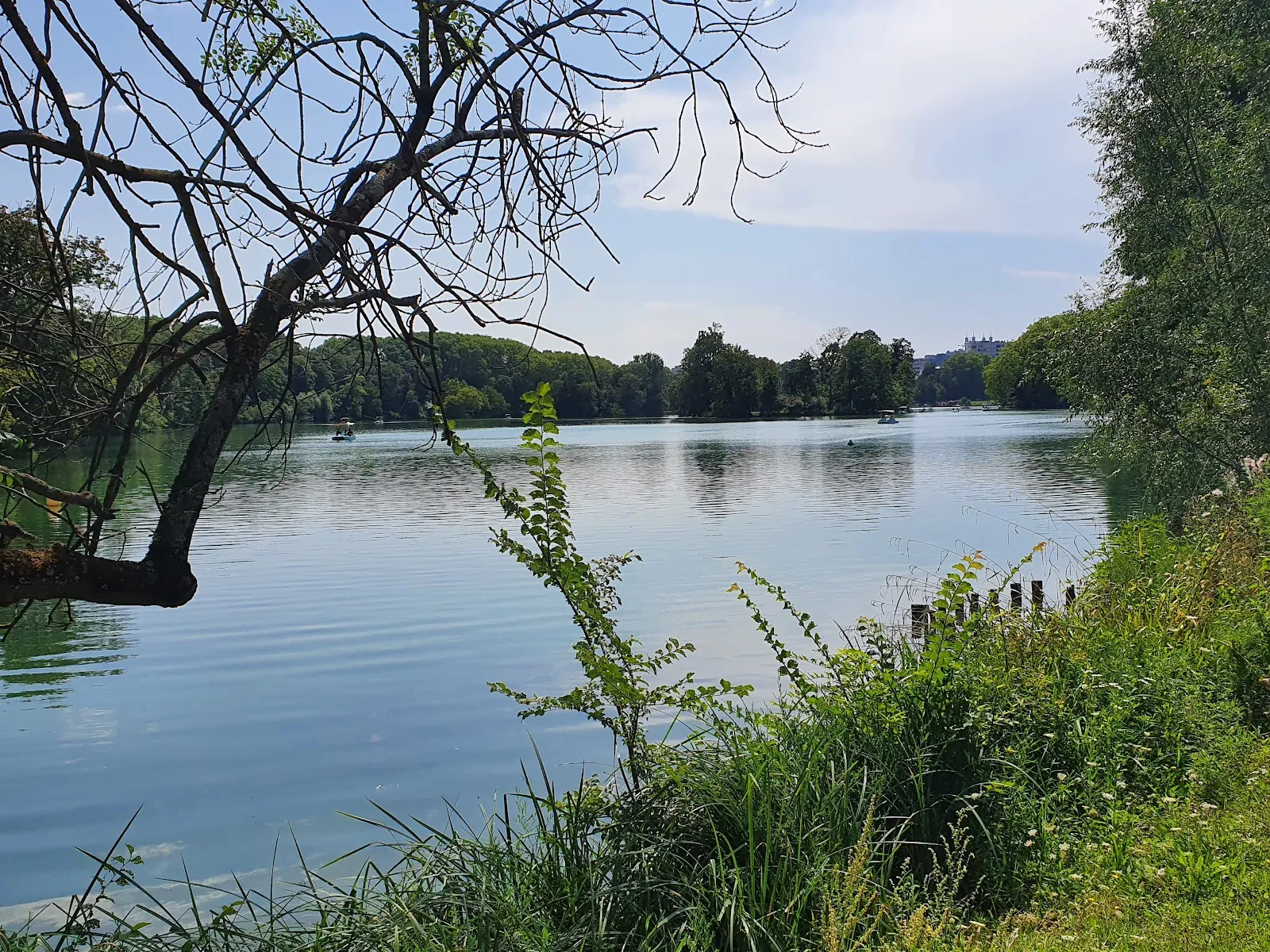 Le Petit Train Du Parc De la Tête D'Or