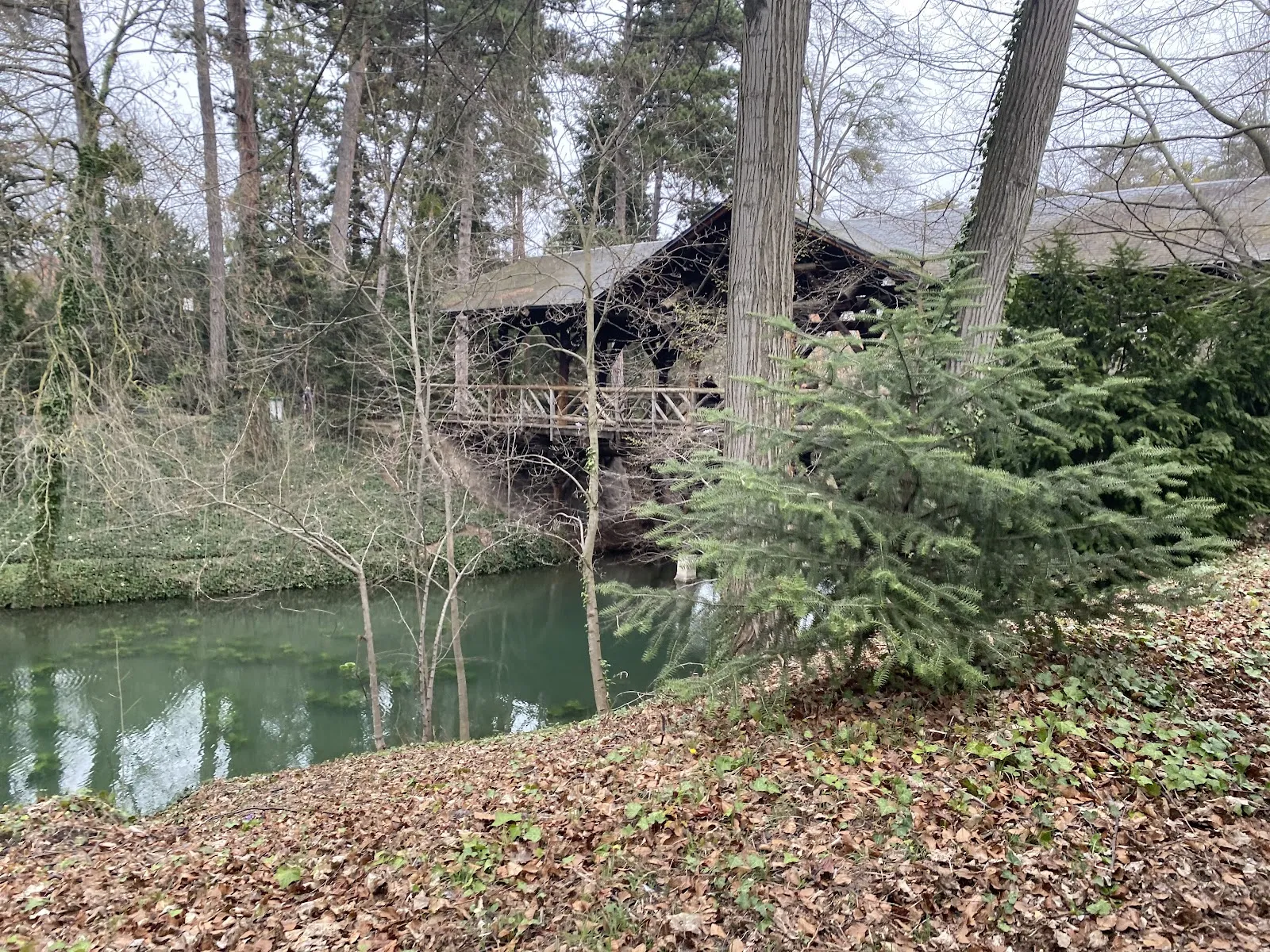 Le Petit Train Du Parc De la Tête D'Or