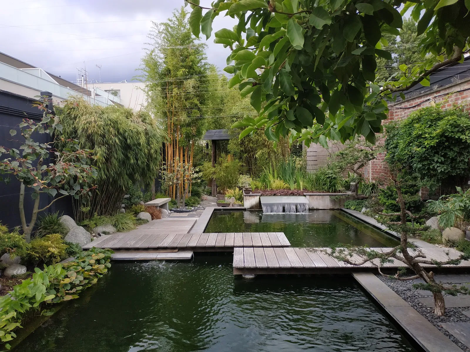 Le Sentier Du Chimonobambusa — photo 1