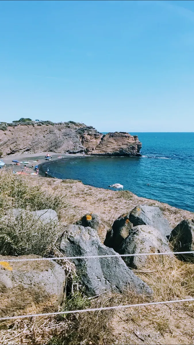 Les Activités Nautiques Avec Spotyride