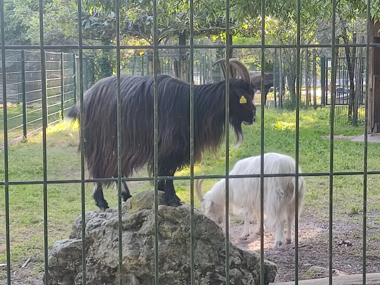 Les Animaux Du Parc Bordelais