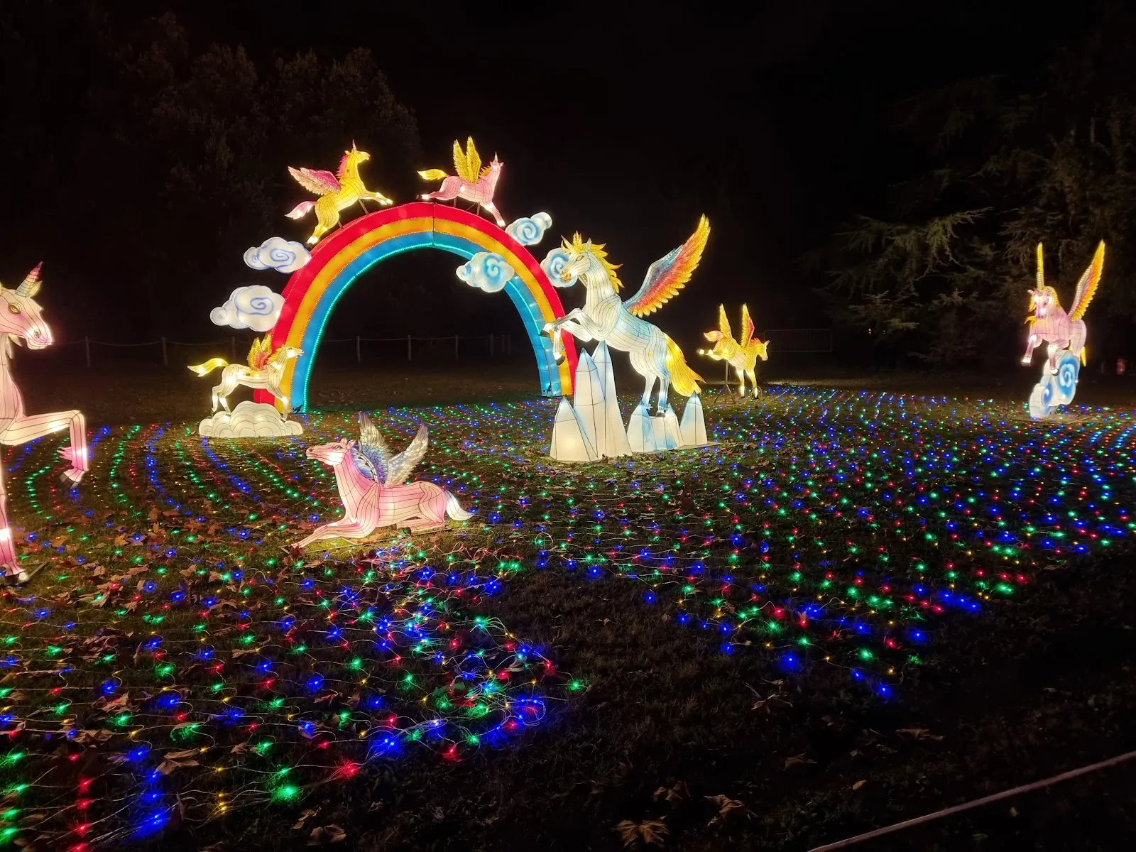Les Animaux Du Parc Bordelais