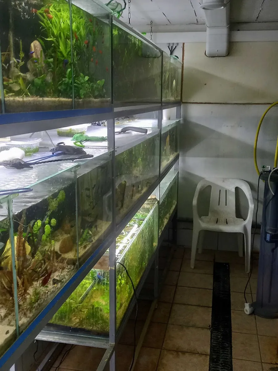 Les Arcanes De L'Eau