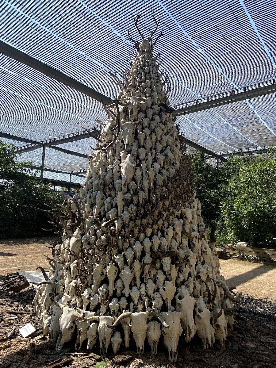 Les Jardins Du Muséum