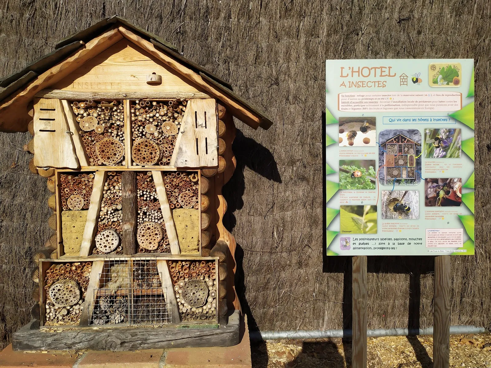 Les Jardins Du Muséum