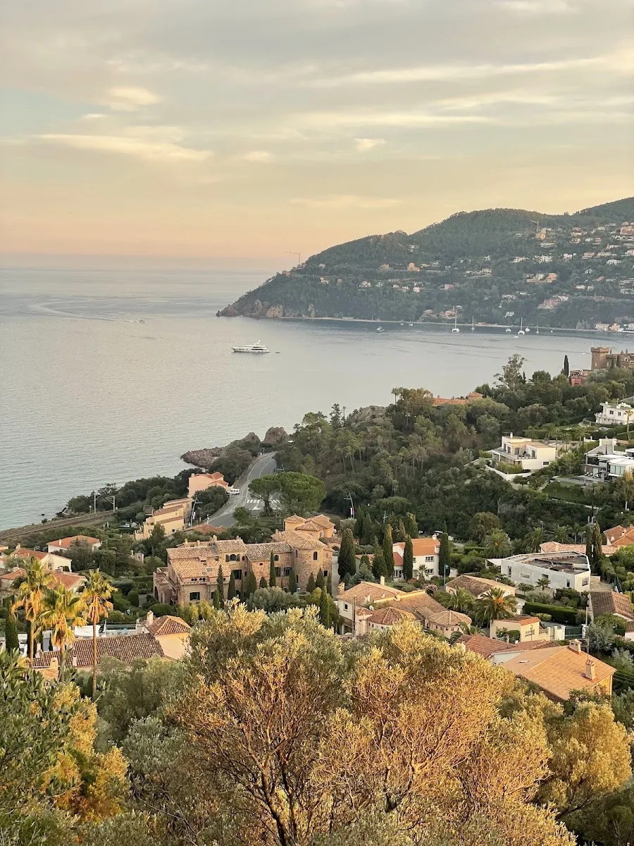 Les Ruines De Château D'Avignonnet — photo 1