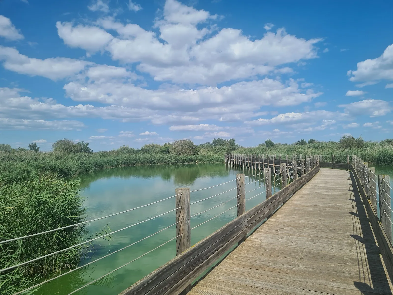 Maison De la Nature — photo 1