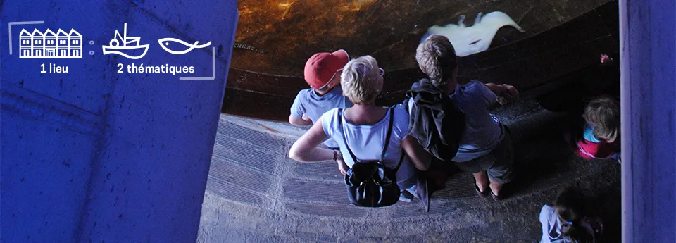 Maréis - Centre De Découverte De la Pêche En Mer — photo 1