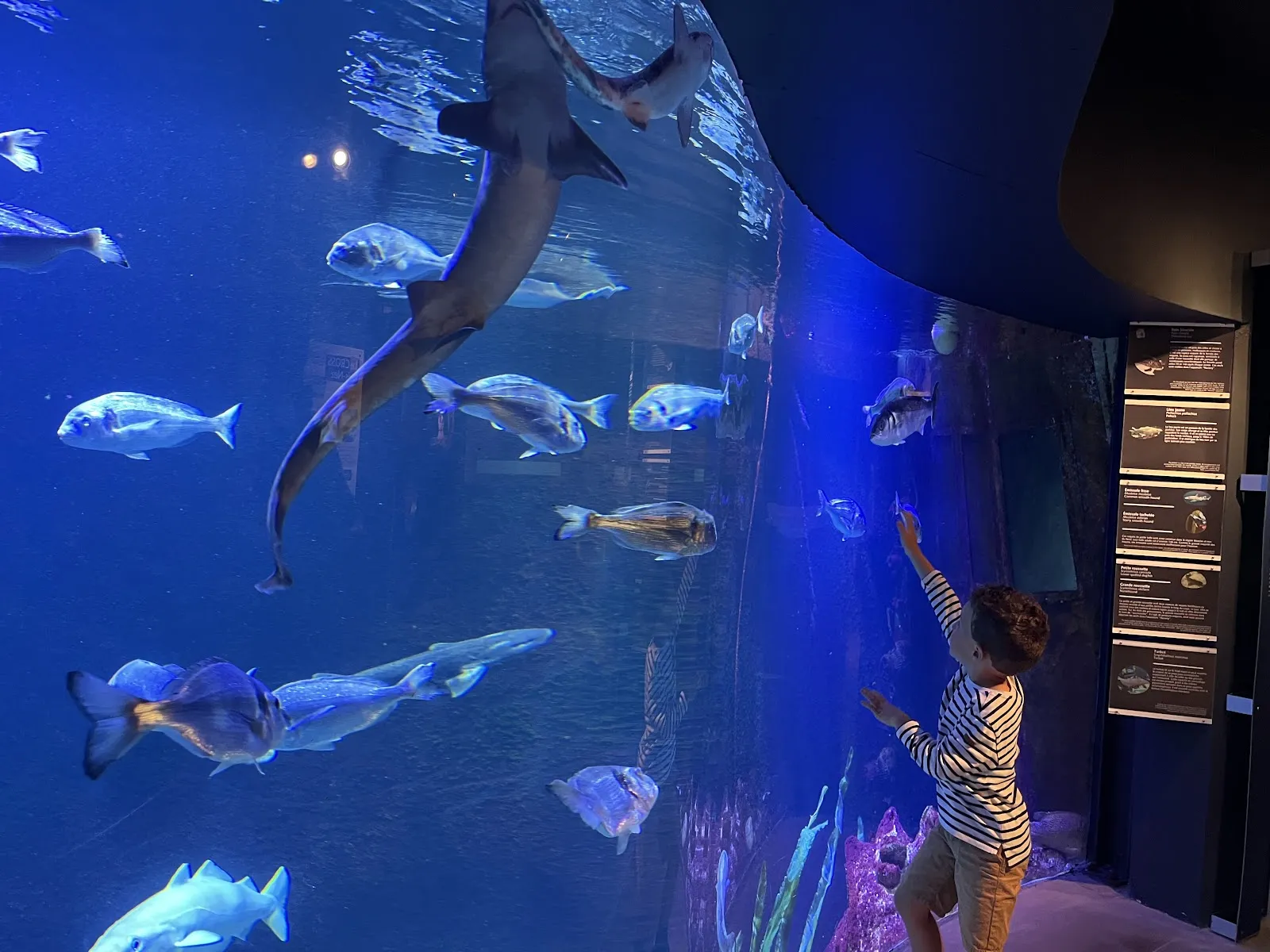 Maréis - Centre De Découverte De la Pêche En Mer