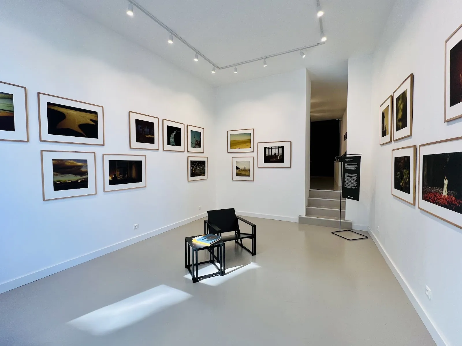 Mostra Galerie