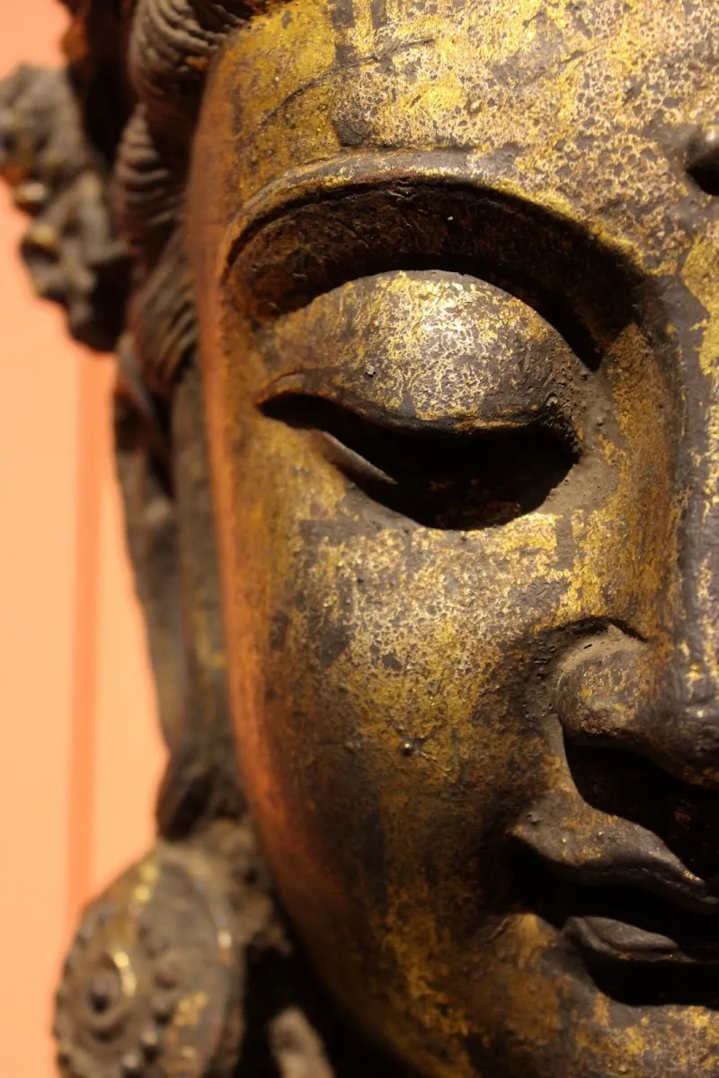 Musée Asiatica — photo 1