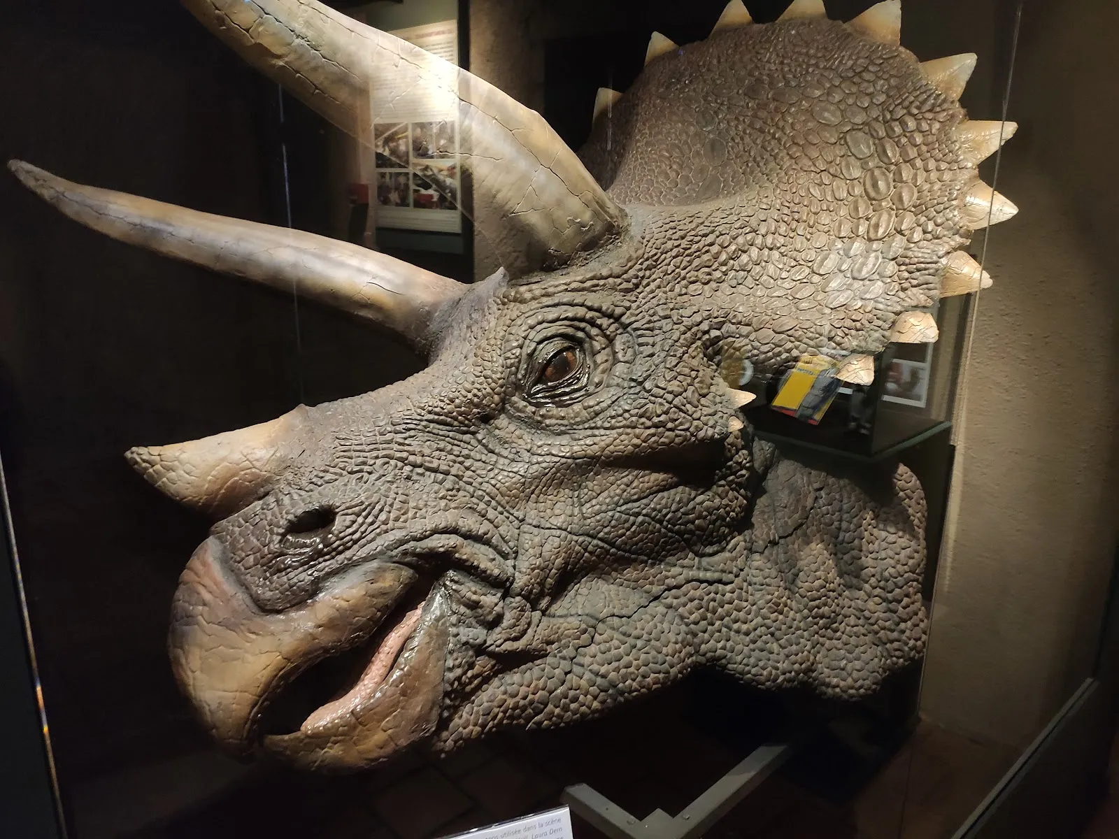 Musée Cinéma Et Miniature