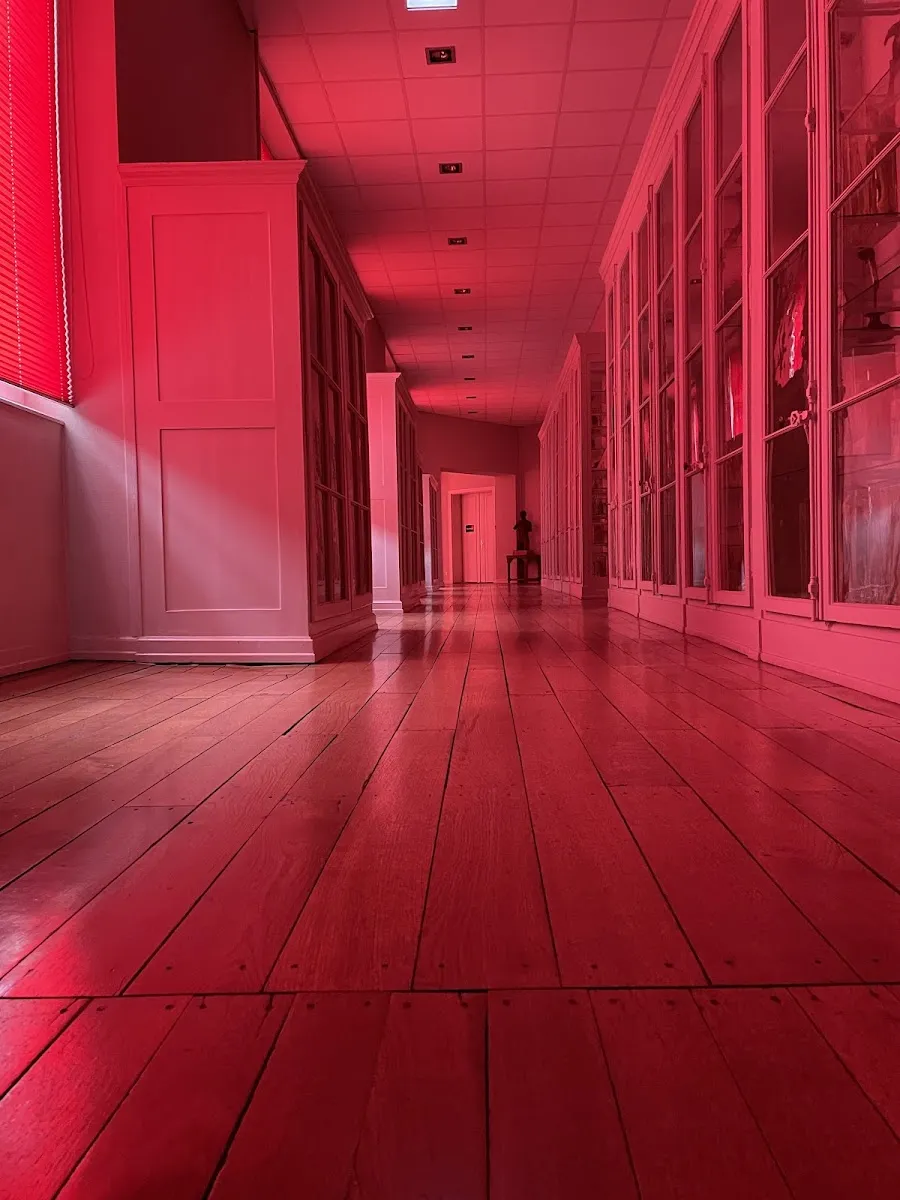 Musée D'Anatomie Normale