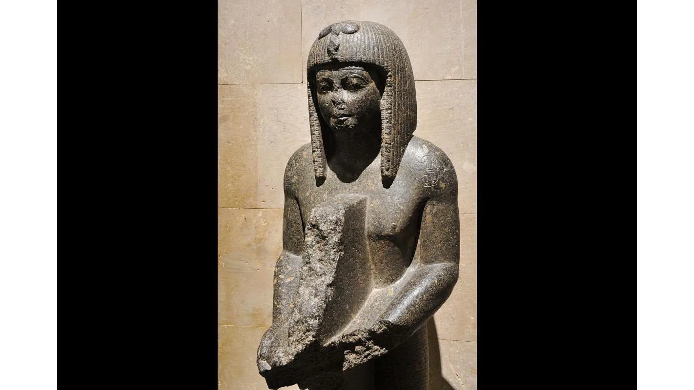 Musée D'Archéologie Méditerranéenne De la Ville De Marseille — photo 1