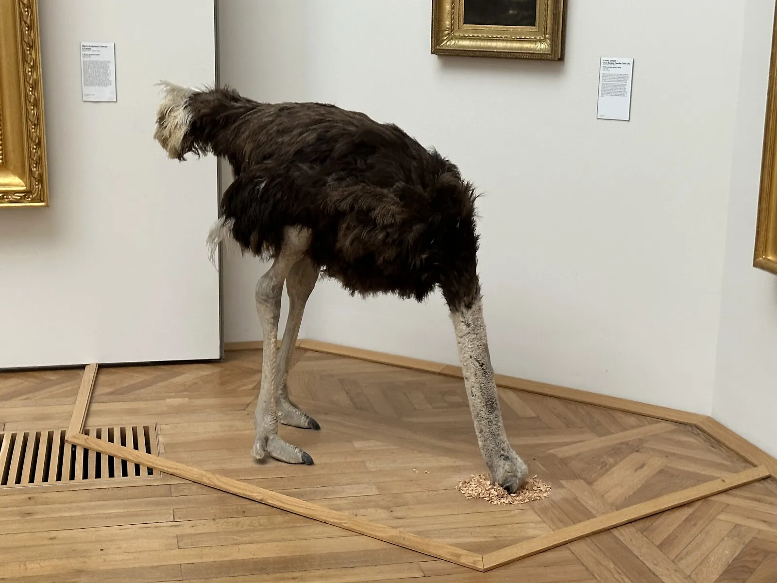 Musée D’Arts De Nantes