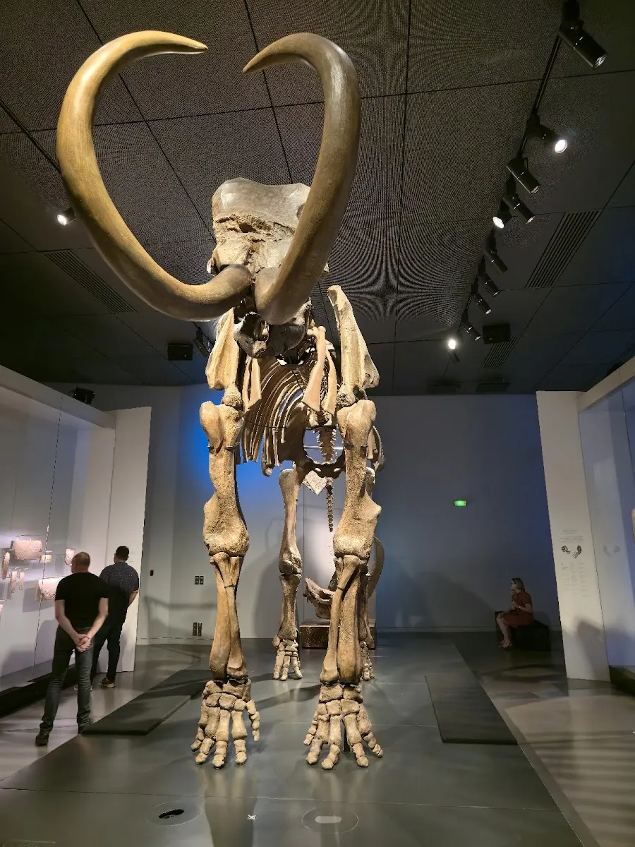 Musée Des Confluences