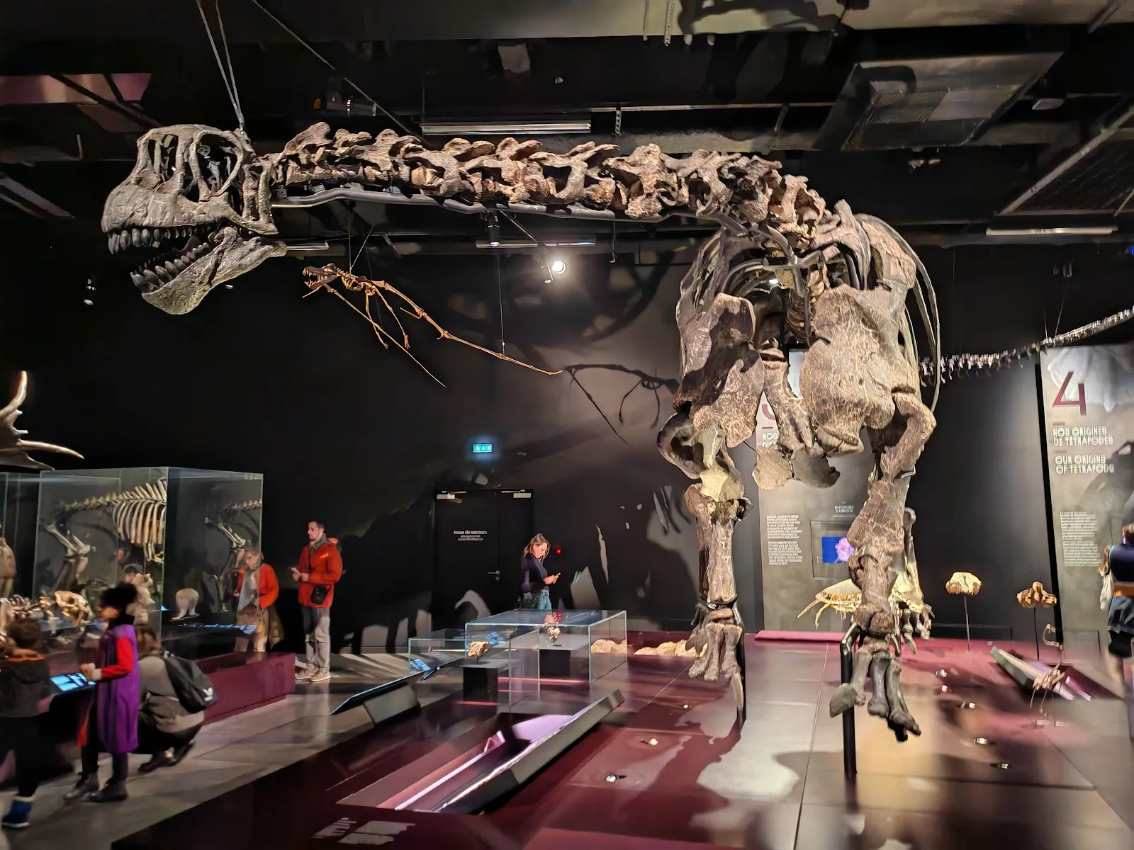 Musée Des Confluences