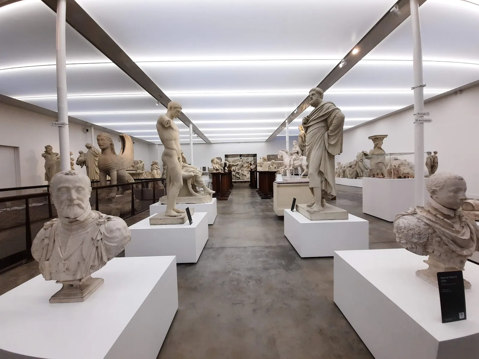 Musée Des Moulages — photo 1