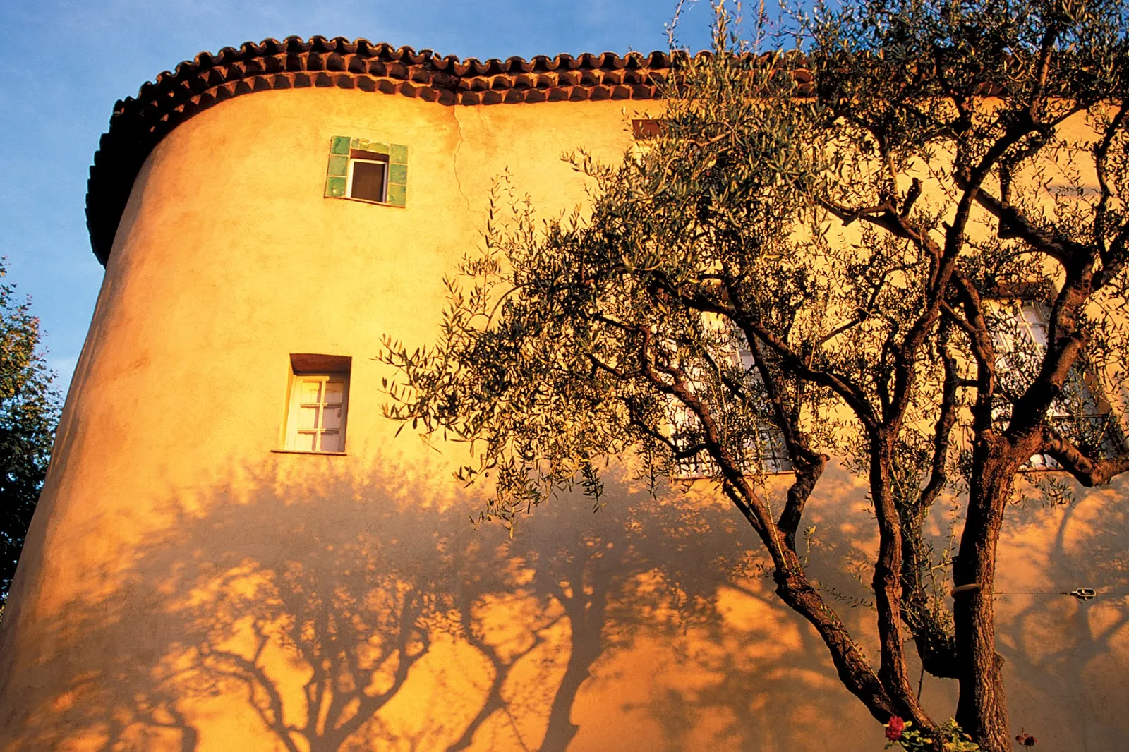 Musée Magnelli, Musée De la Céramique — photo 1