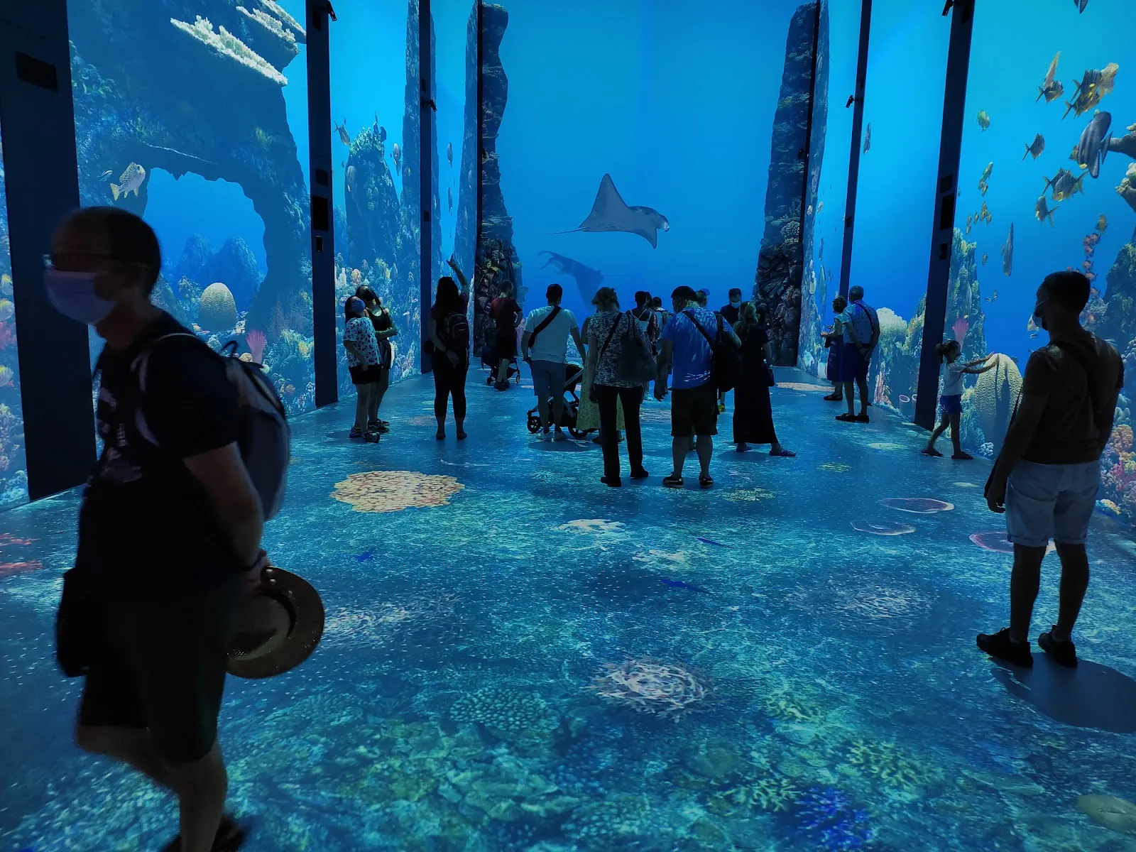 Musée Océanographique De Monaco