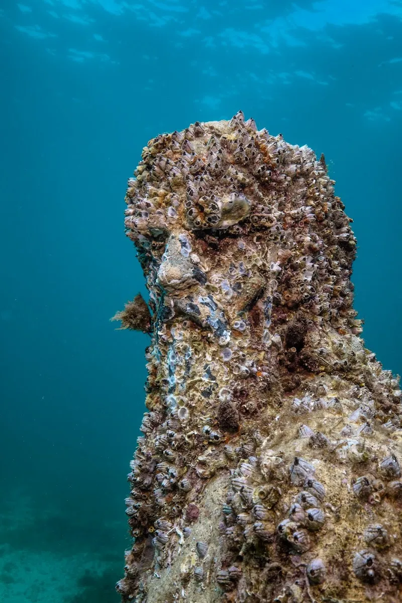 Musée Subaquatique De Marseille — photo 1