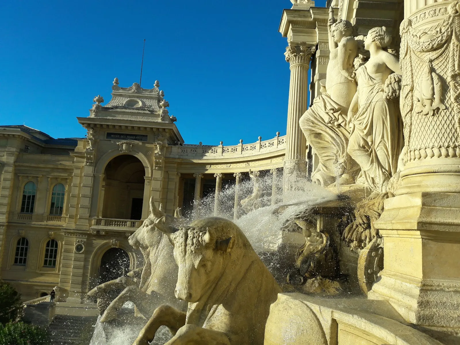 Muséum D'Histoire Naturelle De la Ville De Marseille