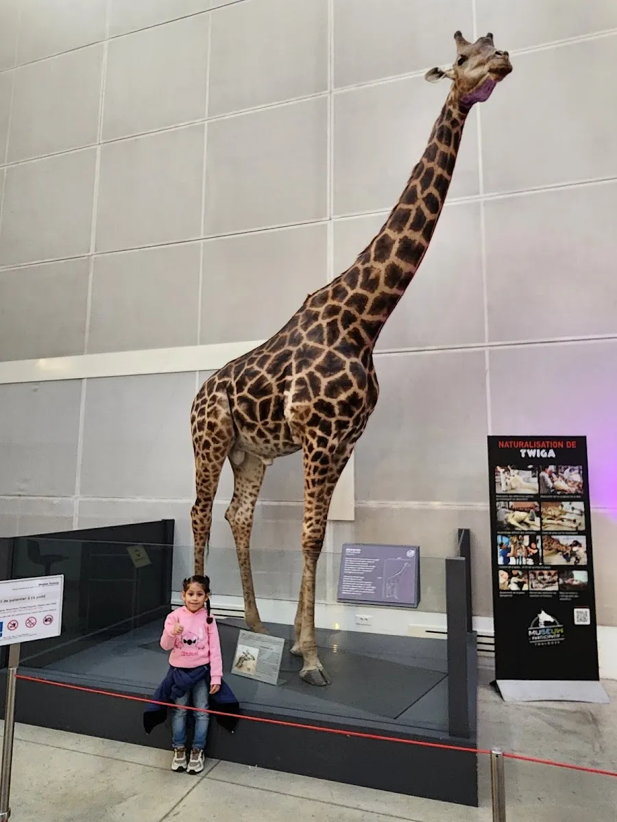 Muséum De Toulouse — photo 1