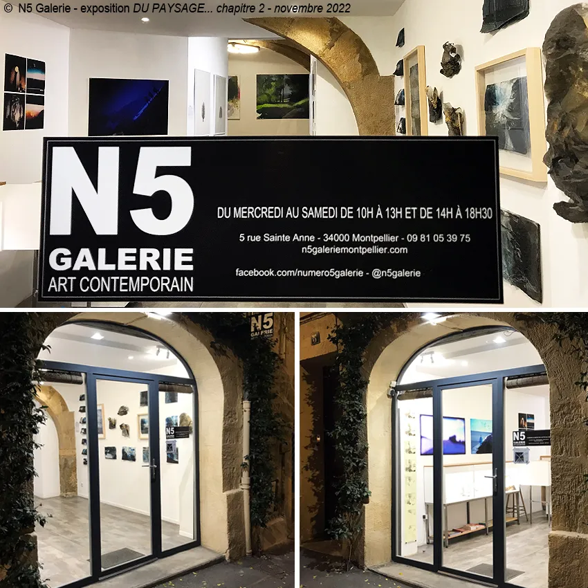 N5 Galerie Art Contemporain