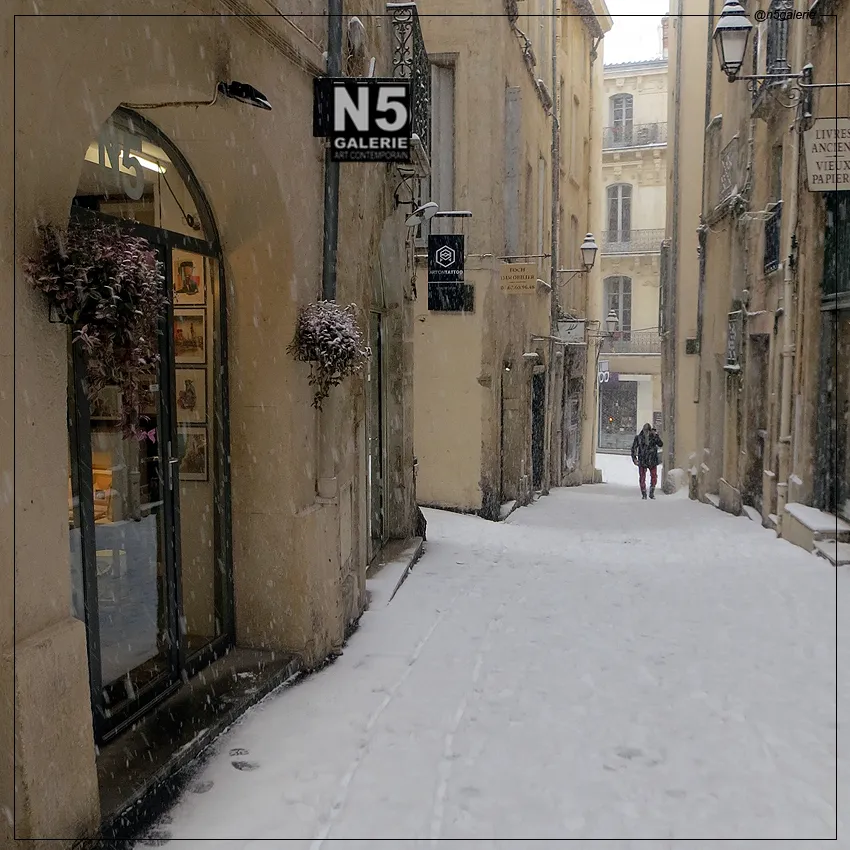 N5 Galerie Art Contemporain