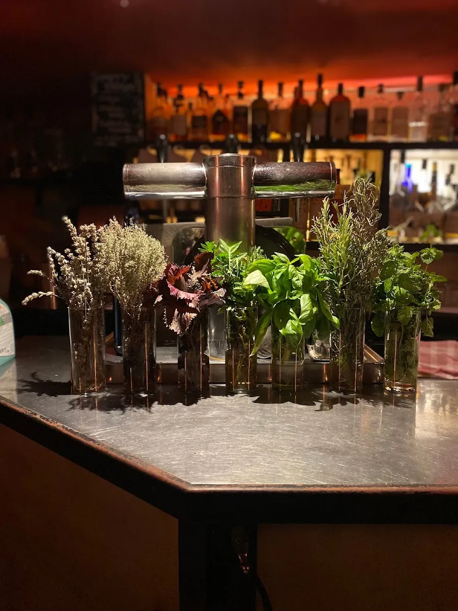 Nasdrovia Cocktail Bar — photo 1