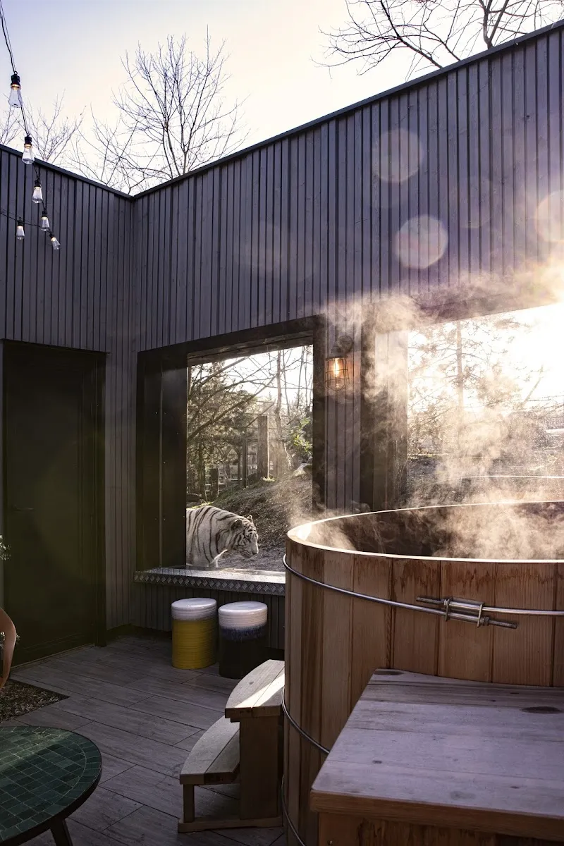 Night Experience By Zoo Bordeaux Pessac — photo 1