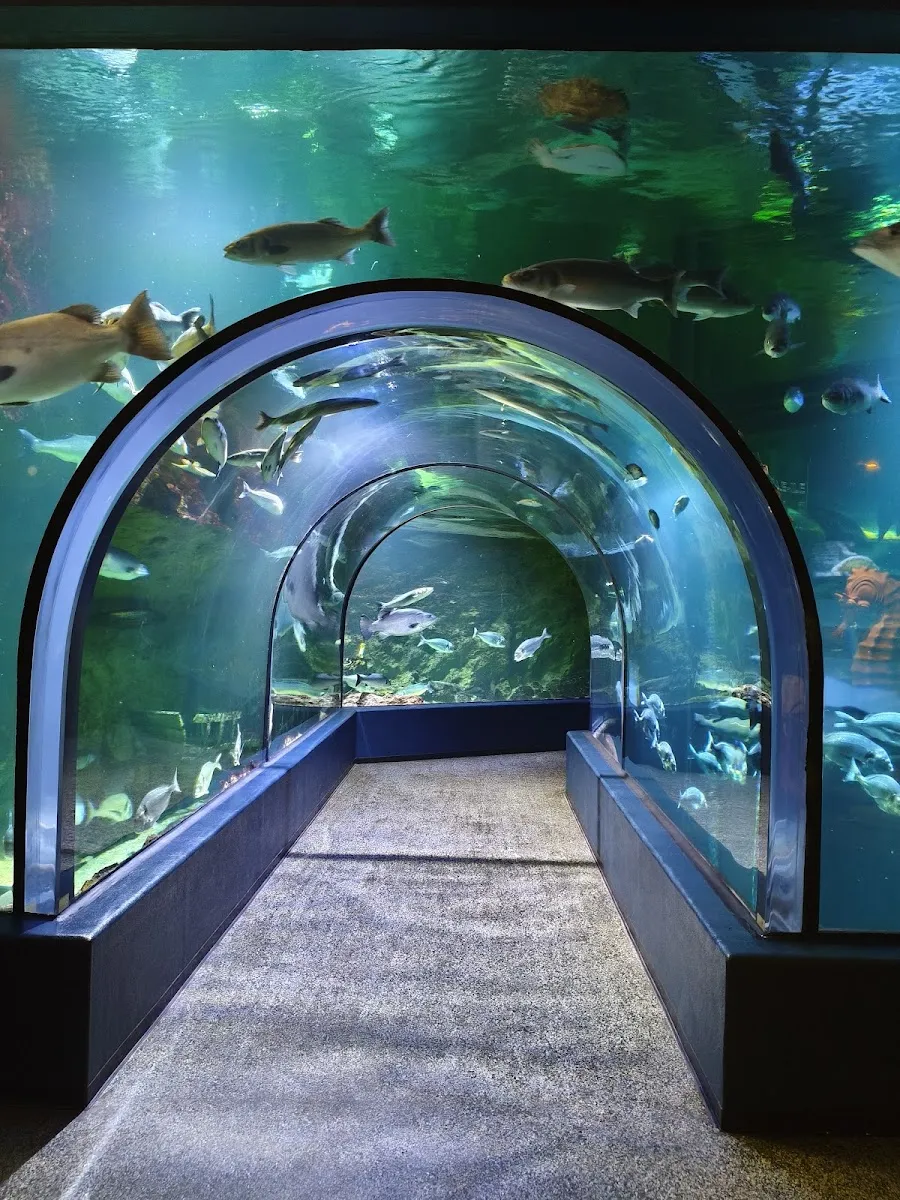 Océarium Du Croisic