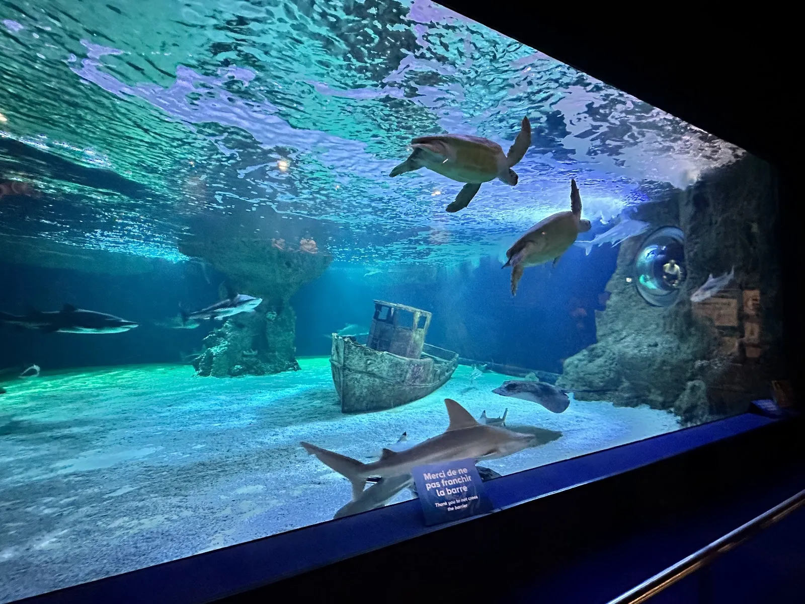 Océarium Du Croisic